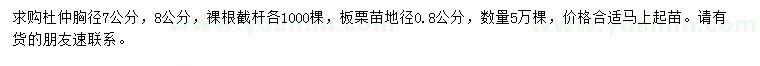 求购胸径7、8公分杜仲、地径0.8公分板栗苗