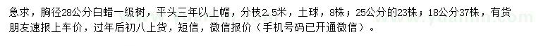 求购胸径18、25、28公分白蜡