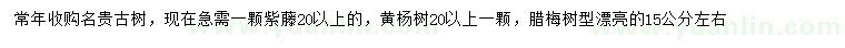 求购紫藤、黄杨、腊梅等