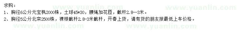 求购胸径6公分元宝枫、胸径5公分北栾