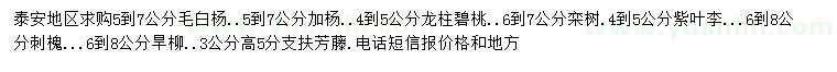 求购毛白杨、加杨、龙柱碧桃等