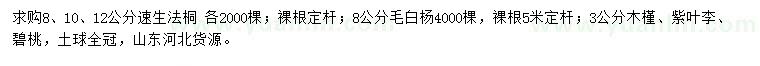 求购速生法桐、毛白杨、木槿等