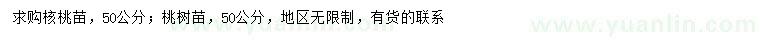 求购50公分核桃苗、桃树苗