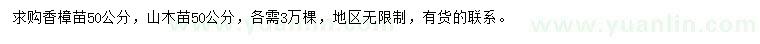 求购50公分香樟苗、山木苗