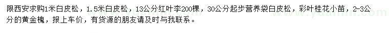 求购白皮松、红叶李、彩叶桂花等