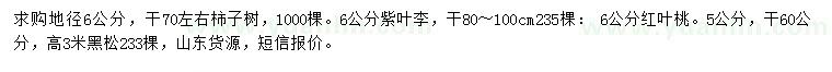 求购柿子树、紫叶李、红叶桃等