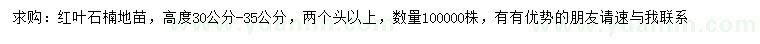 求购高30-35公分红叶石楠