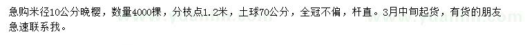 求购米径10公分晚樱