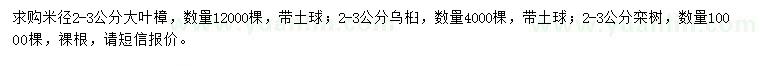 求购大叶樟、乌桕、栾树