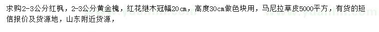 求购红枫、黄金槐、红花继木等