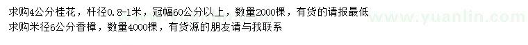 求购4公分桂花、米径6公分香樟