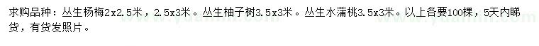 求购丛生杨梅、丛生柚子树、丛生水蒲桃