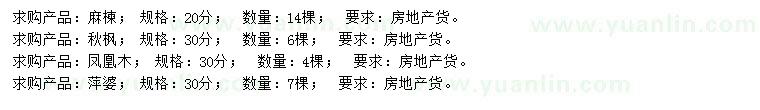 求购麻楝、秋枫、凤凰木等