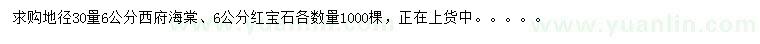 求购6公分西府海棠、红宝石