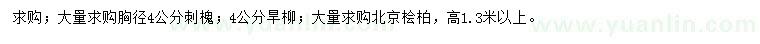 求购刺槐、旱柳、北京桧柏