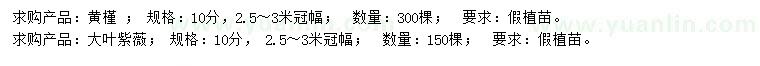 求购10公分黄槿、大叶紫薇