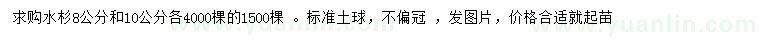 求购8、10公分水杉