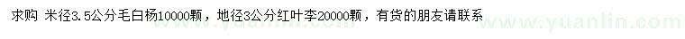 求购米径3.5公分毛白杨、地径3公分红叶李