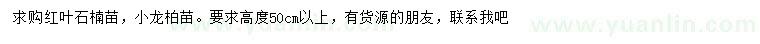 求购高50公分以上红叶石楠、小龙柏