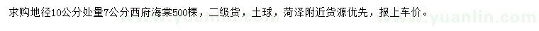 求购地径10公分处量7公分西府海棠