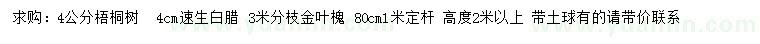 求购梧桐、速生白腊、金叶槐