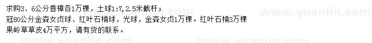 求购香樟、金森女贞球、红叶石楠球等