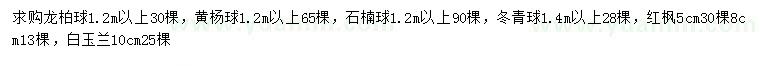 求购龙柏球、黄杨球、石楠球等