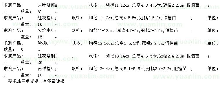 求购大叶紫薇、红花楹、火焰木等