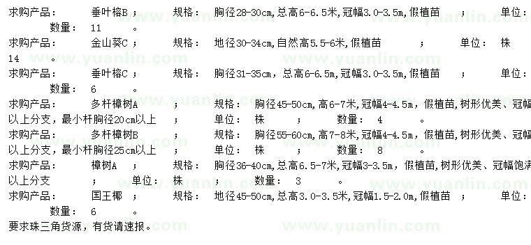 求购垂叶榕、金山葵、垂叶榕等