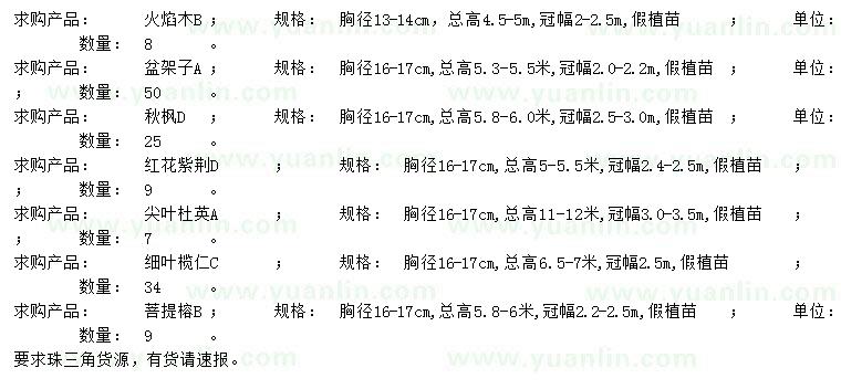 求购火焰木、盆架子、秋枫等