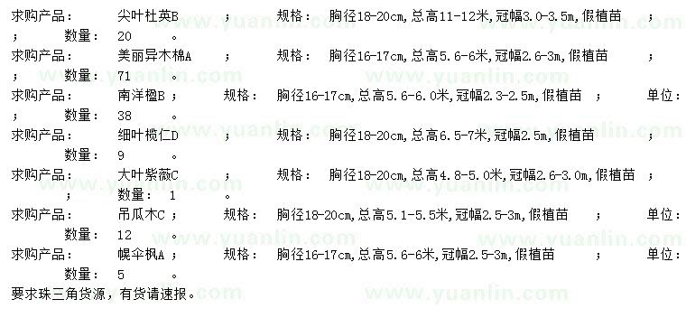 求购尖叶杜英、美丽异木棉、南洋楹等