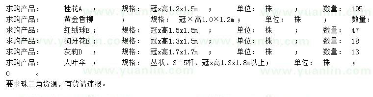 求购桂花、黄金香柳、红绒球等