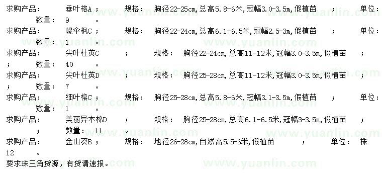 求购垂叶榕、幌伞枫、尖叶杜英等