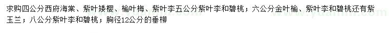 求购西府海棠、紫叶矮樱、榆叶梅等