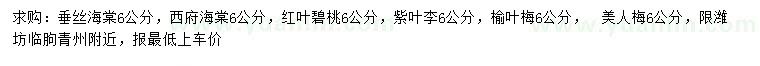 求购垂丝海棠、西府海棠、红叶碧桃等