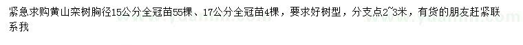 求购胸径15、17公分黄山栾树