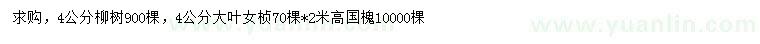 求购柳树、大叶女贞、国槐