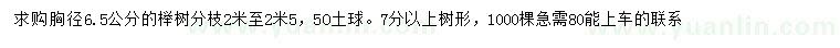 求购胸径6.5公分榉树