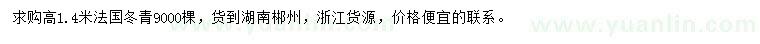 求购高1.4米法国冬青