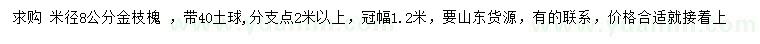 求购米径8公分金枝槐