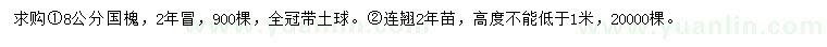 求购8公分国槐、连翘2年苗