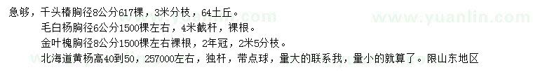 求购千头椿、毛白杨、金叶槐等