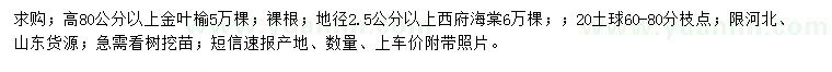 求购高80公分以上金叶榆、地径2.5公分以上西府海棠