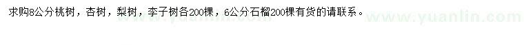 求购桃树、杏树、梨树等