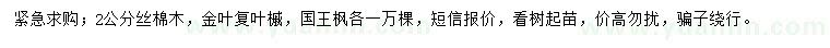 求购丝棉木、金叶复叶槭、国王枫