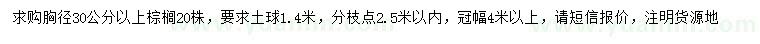 求购胸径30公分以上棕榈