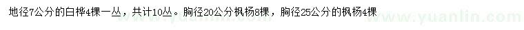 求购地径7公分白桦、胸径20、25公分枫杨