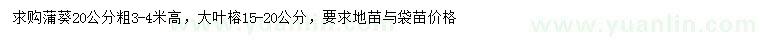 求购20公分蒲葵、15-20公分大叶榕