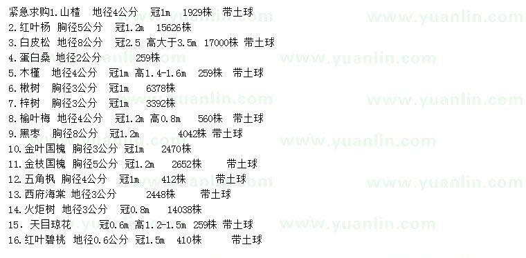 求购山楂、红叶杨、白皮松等