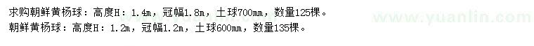 求购高1.2、1.4米朝鲜黄杨球